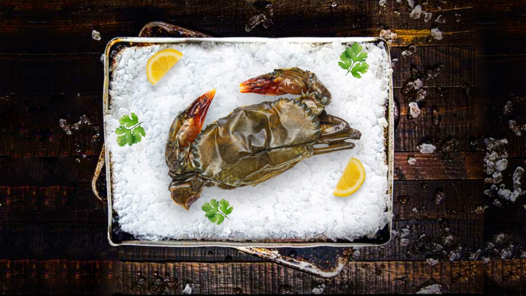 Taste-of-Soft-Shell-Crab